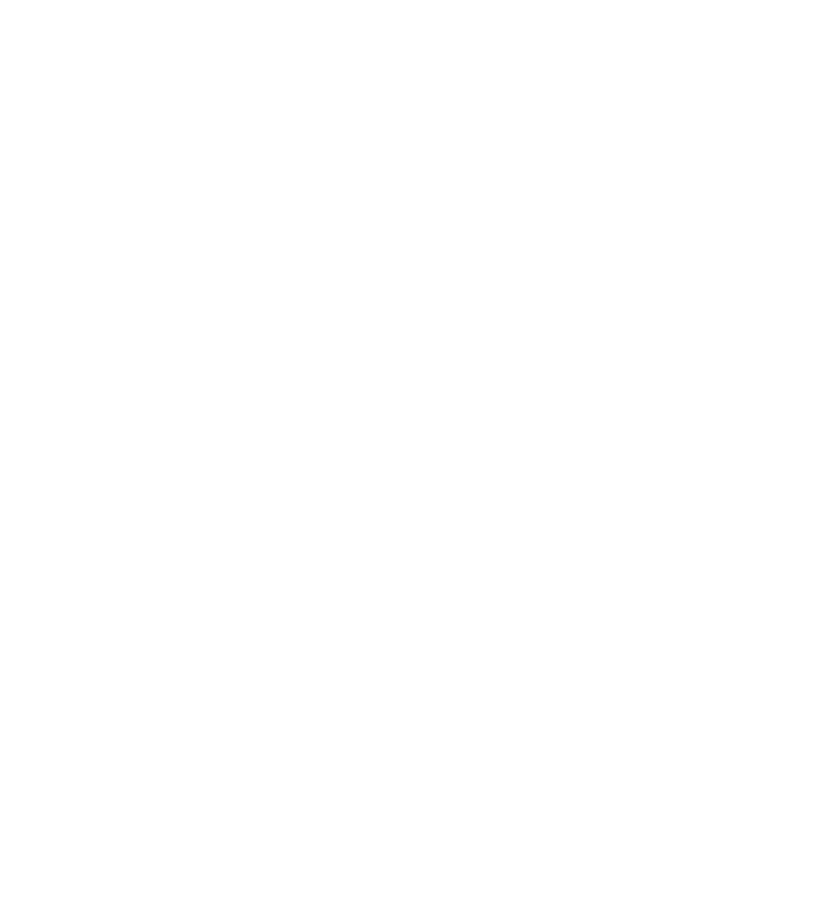 The LaScala Firm